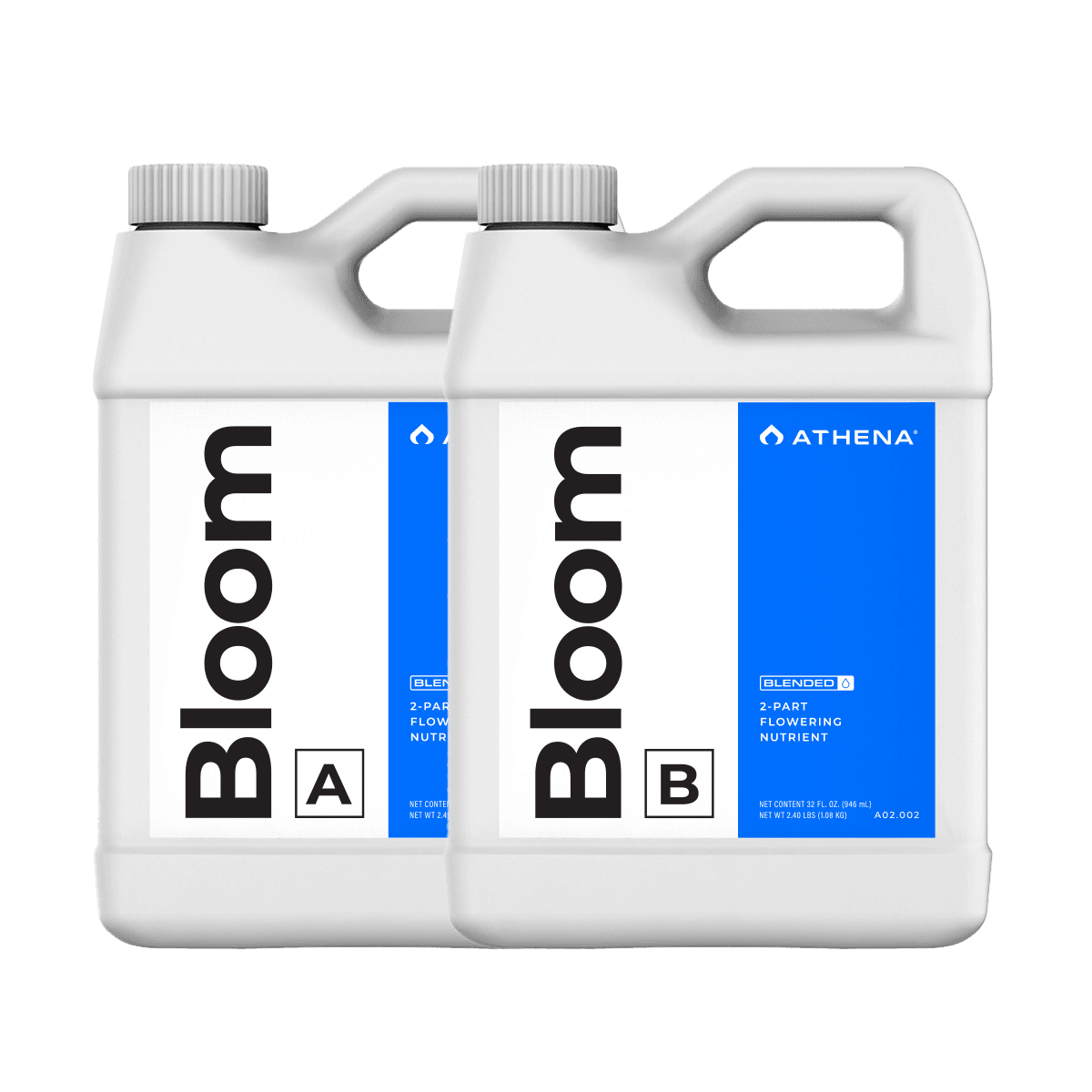 Athena Blended Line Bloom A & B