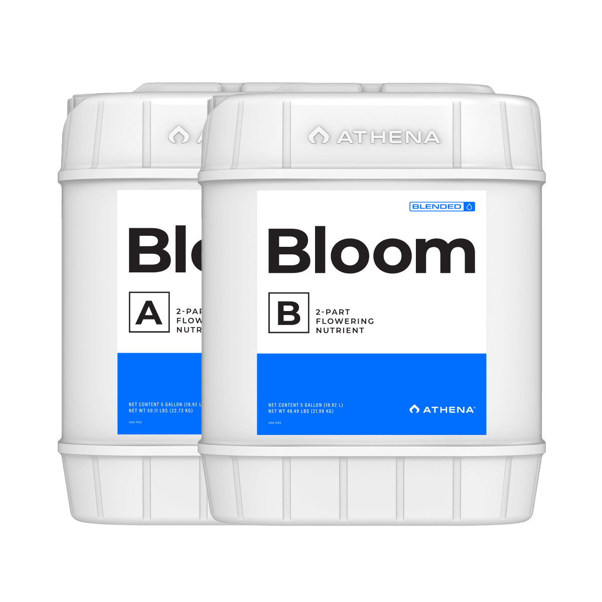 Athena Blended Line Bloom A & B