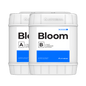 Athena Blended Line Bloom A & B