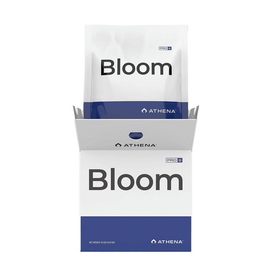 Athena Pro Line Bloom